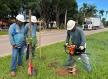 Meio Ambiente e Desenvolvimento Sustentável realiza plantio de árvores em avenidas