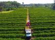 Governo de MT tem linha de crédito para financiar equipamentos, máquinas e implementos agrícolas