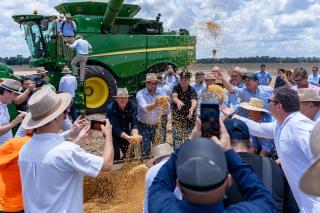 Abertura nacional da colheita da safra 24/25 destaca a produção sustentável de soja
