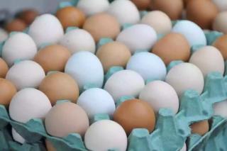 Agricultura suspende determinação de carimbar data de validade em ovos