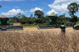 Máquinas agrícolas e mais de 72 mil kg de soja são apreendidos em operação contra desmatamento ilegal em MT