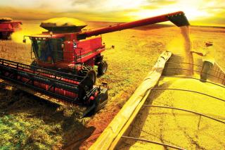 Safra de soja em MT se aproxima do fim com produção recorde