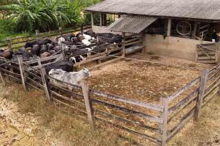 Divulgada décima sétima edição do Boletim Agrometeorológico