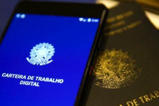 Mercado de trabalho em Alta Floresta está aquecido: SINE oferece 34 vagas de emprego