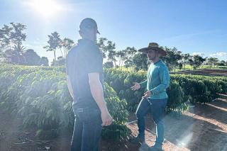 Secretaria de Agricultura e Pecuária supera meta de assistência técnica continuada em 39%