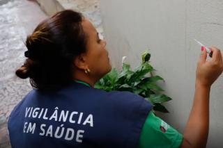 Casos de dengue em 2024 passam de 6,4 milhões; mortes somam 5,9 mil